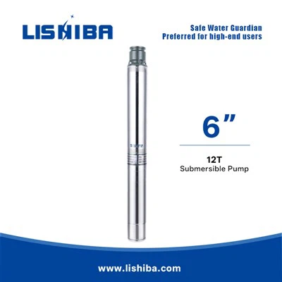 Lishiba Pumps - Sèrie Premium 6SJ Bomba d’alt rendiment|Aplicació Multi-Scenario|Vendes líders de la indústria